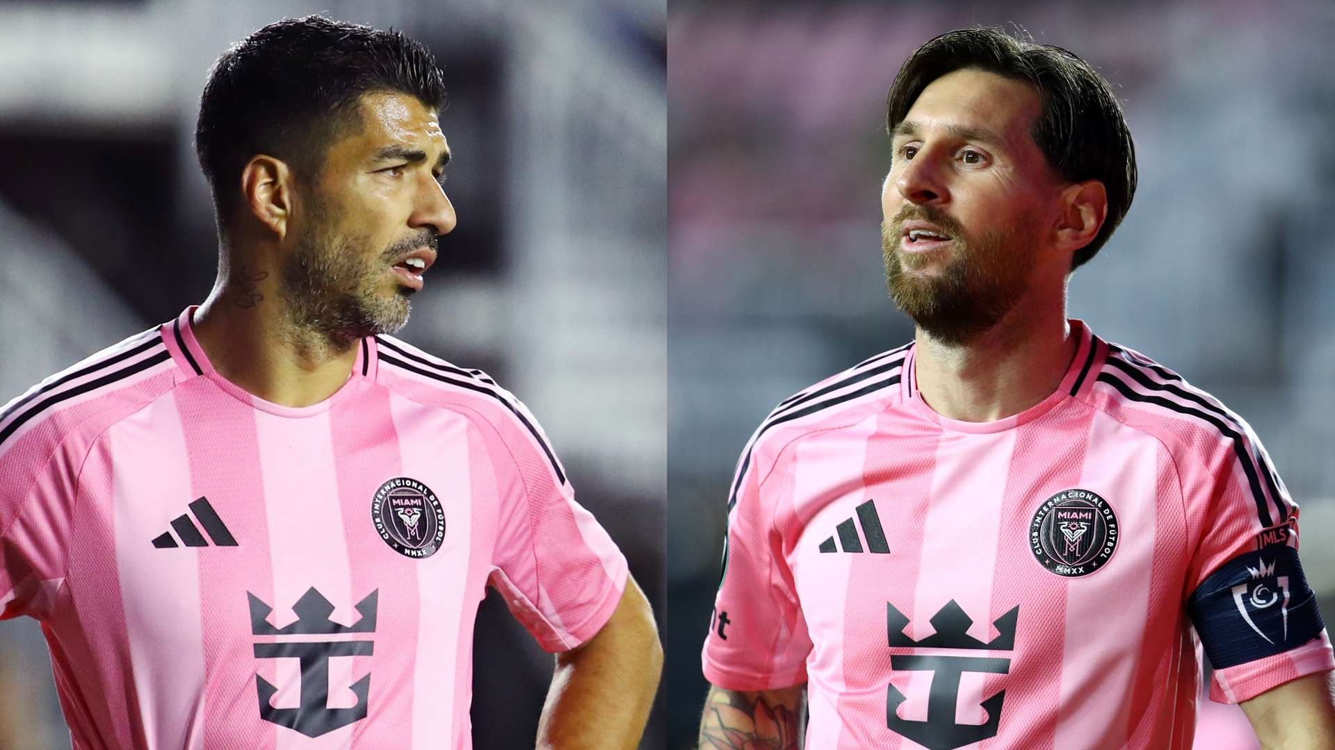 保持高昂的 保持高昂的