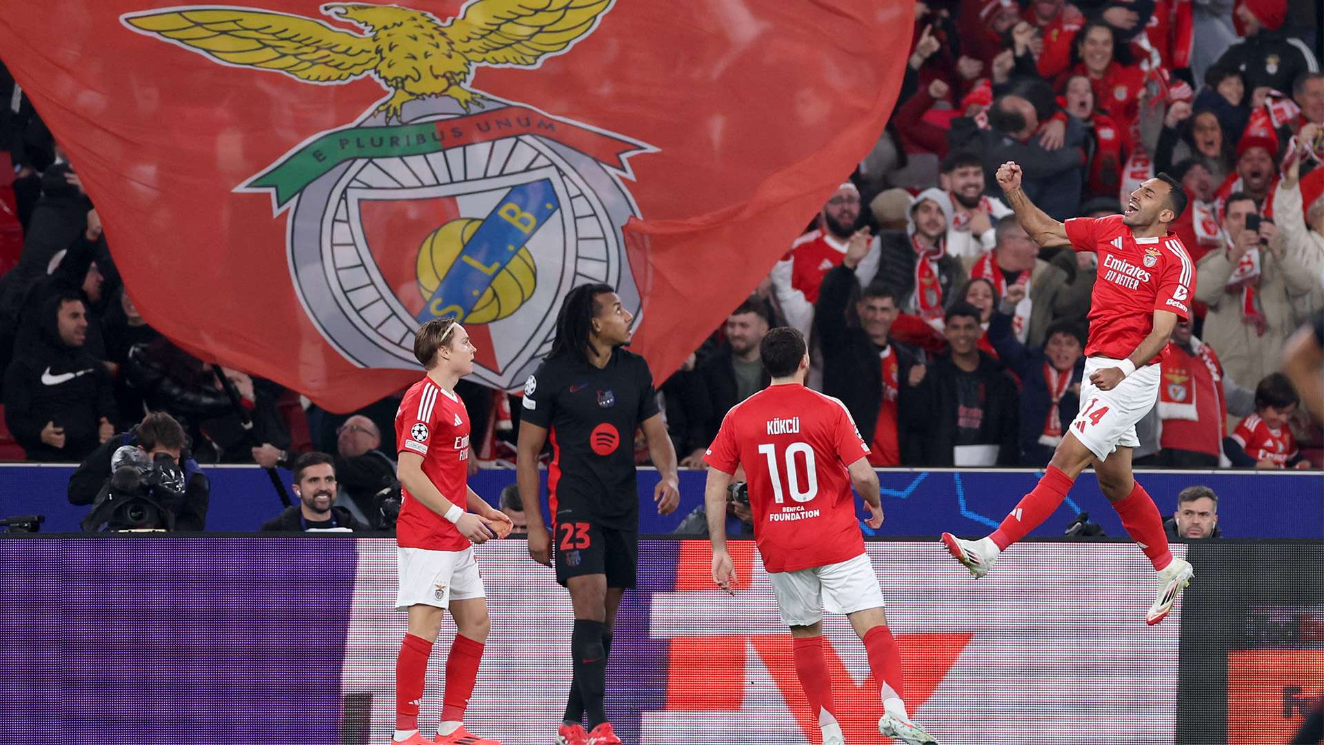 引发了众多 引发了众多