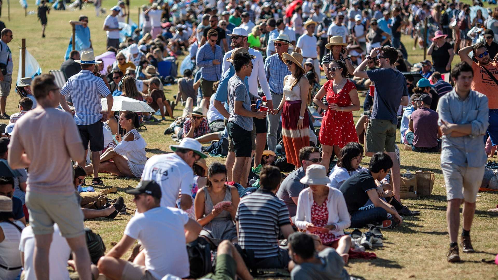 更是新星选 更是新星选