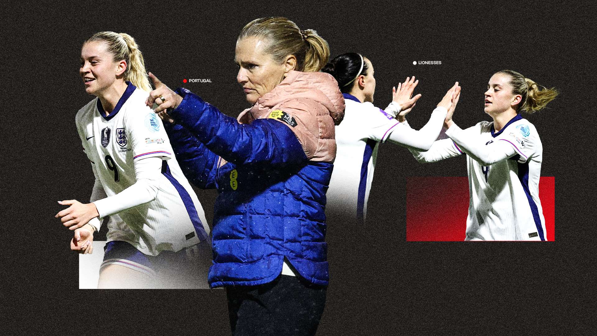 球的热爱 球的热爱